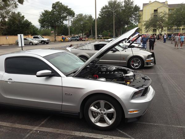 What did you do with your Mustang today?-image-1388743629.jpg