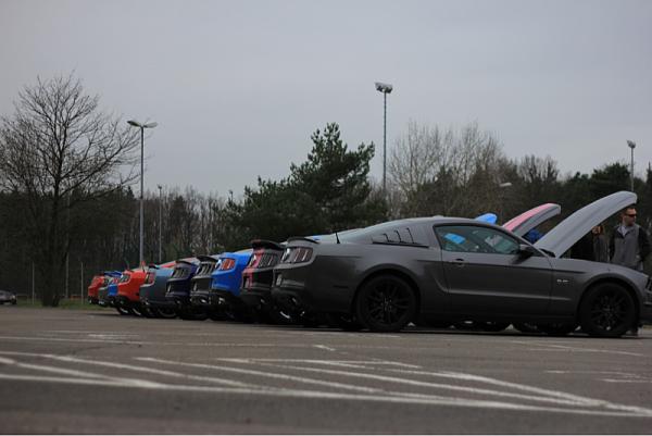 What did you do with your Mustang today?-image-1436187146.jpg