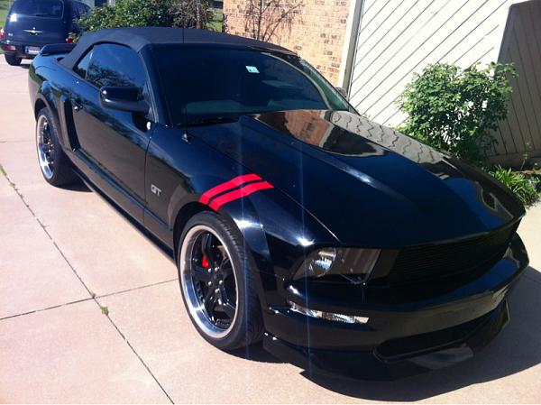 What did you do with your Mustang today?-image-611450529.jpg