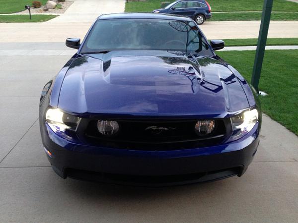 What did you do with your Mustang today?-image-3178610131.jpg