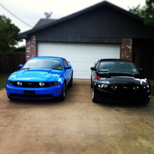 What did you do with your Mustang today?-image-3604474205.jpg