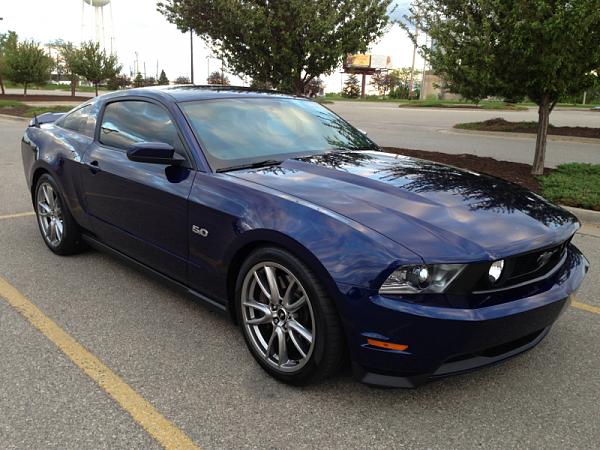 What did you do with your Mustang today?-image-1270309080.jpg