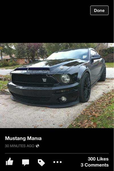 Mustangs Coast to Coast-image-4032530125.jpg