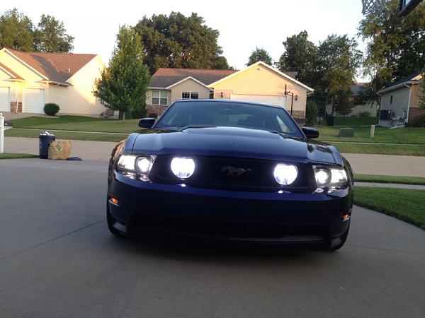 What did you do with your Mustang today?-image-3551799282.jpg