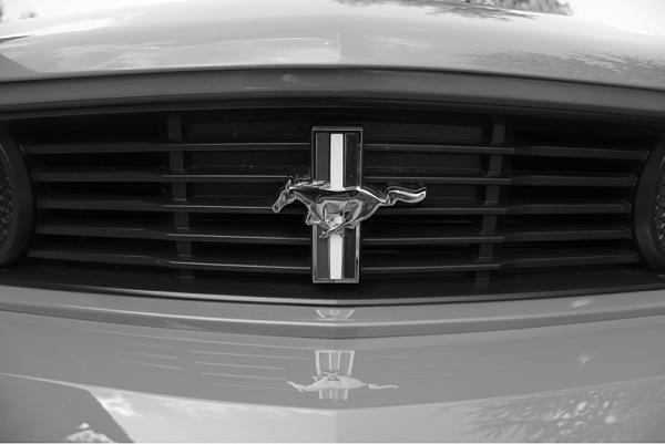 Mustangs Coast to Coast-image-1109977531.jpg