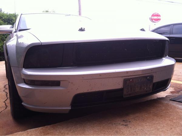 What did you do with your Mustang today?-image-1913284789.jpg
