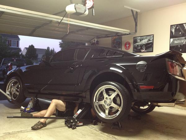 What did you do with your Mustang today?-image-975736044.jpg