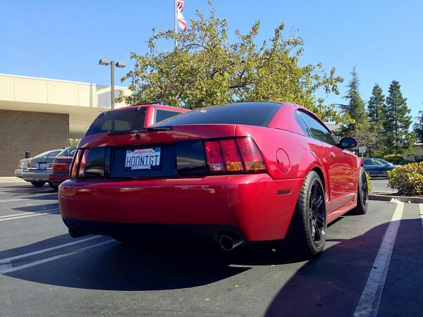 What did you do with your Mustang today?-image-1422440805.jpg