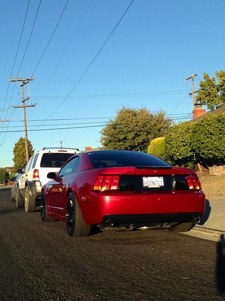 What did you do with your Mustang today?-image-1919599631.jpg