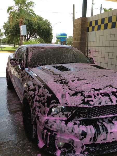 What did you do with your Mustang today?-image-570154112.jpg