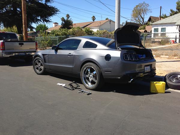 What did you do with your Mustang today?-image-1452122577.jpg