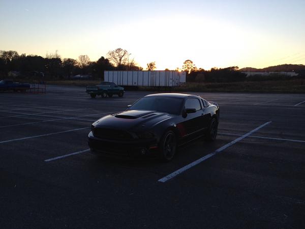 What did you do with your Mustang today?-image-3229772053.jpg