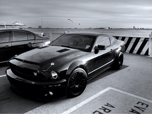 Mustangs Coast to Coast-image-3203364357.jpg