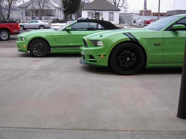 What did you do with your Mustang today?-ghig-mania-013.jpg