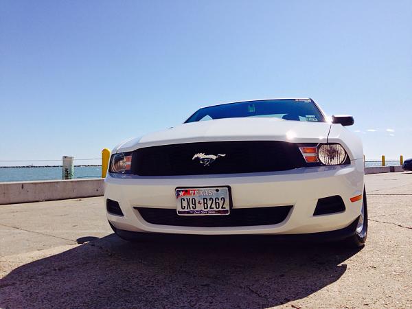 What did you do with your Mustang today?-image-381386724.jpg