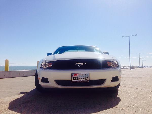 What did you do with your Mustang today?-image-3948236166.jpg