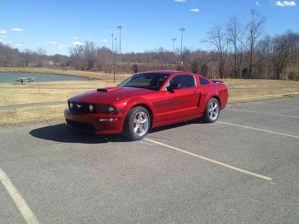 What did you do with your Mustang today?-image-4182153916.jpg