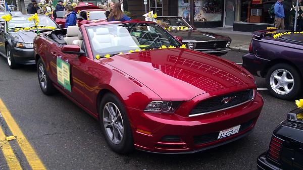 What did you do with your Mustang today?-imag0377.jpg