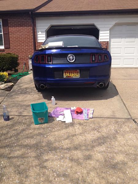 What did you do with your Mustang today?-image-384804378.jpg