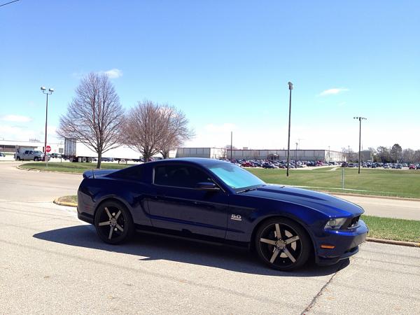 What did you do with your Mustang today?-image-3993394716.jpg