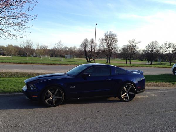 What did you do with your Mustang today?-image-4068701513.jpg