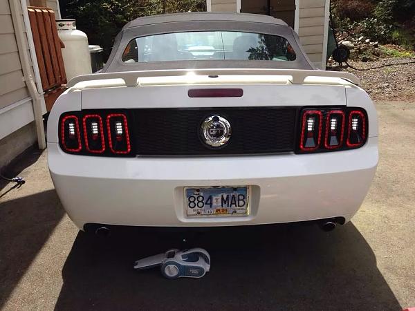 What did you do with your Mustang today?-image.jpg