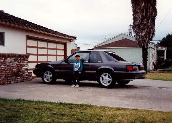 Mustangs Coast to Coast-image-1929187632.jpg