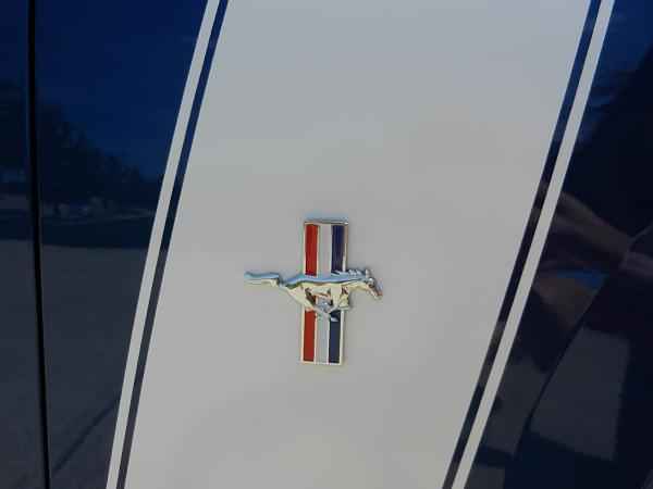 What did you do with your Mustang today?-mustang-badges-002.jpg