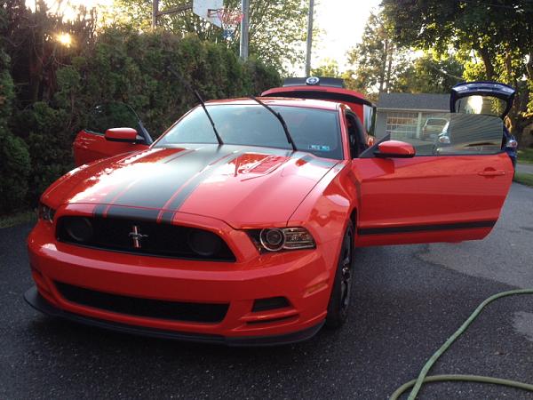 What did you do with your Mustang today?-image-2981170428.jpg