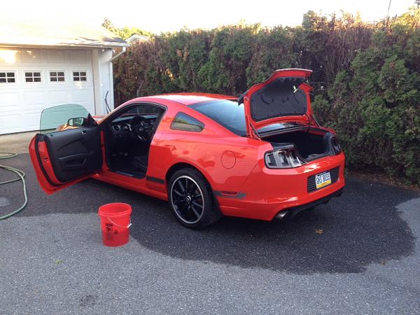 What did you do with your Mustang today?-image-1332037915.jpg