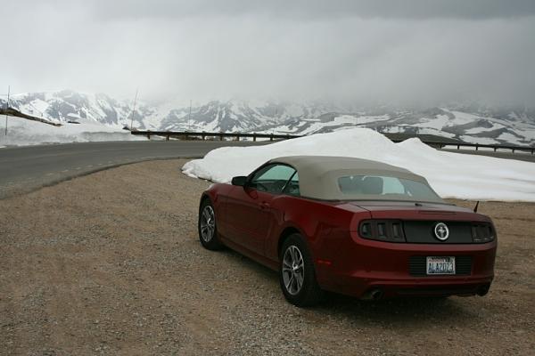 What did you do with your Mustang today?-img_0083.jpg