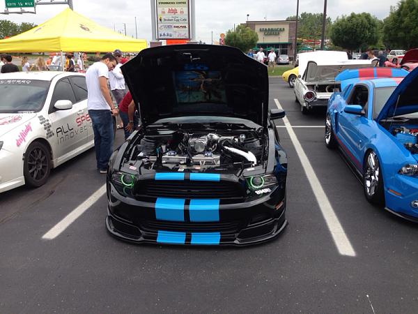 What did you do with your Mustang today?-image-652310589.jpg