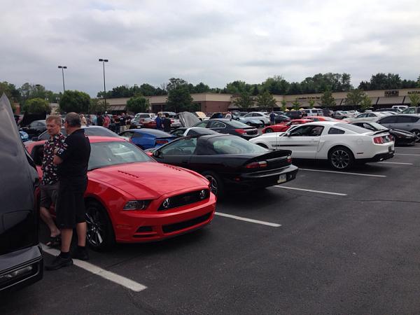 What did you do with your Mustang today?-image-1761225591.jpg