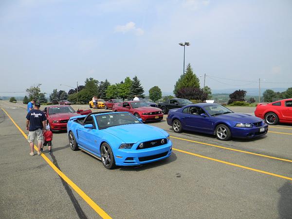 What did you do with your Mustang today?-earlybirds.jpg