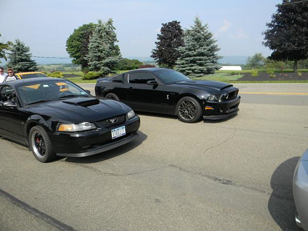 What did you do with your Mustang today?-black.jpg