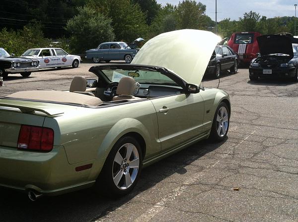 What did you do with your Mustang today?-img_1314-1-.jpg