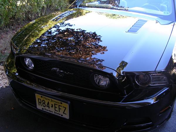 What did you do with your Mustang today?-005-copy.jpg