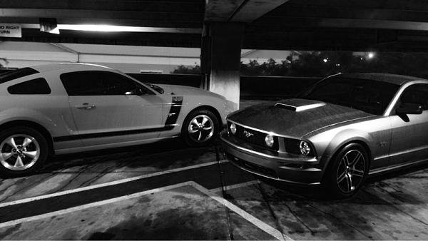 What did you do with your Mustang today?-image-1071765595.jpg