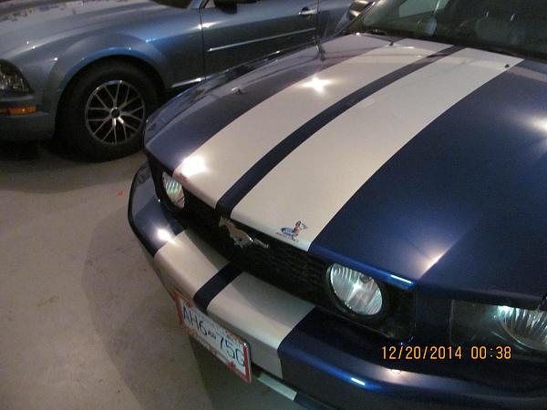 What did you do with your Mustang today?-img_1056.jpg