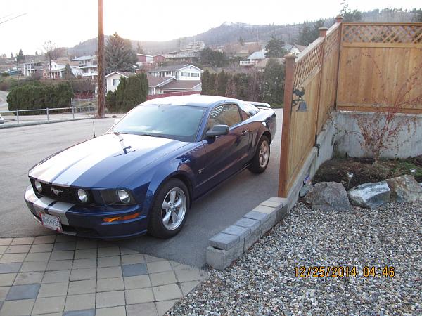 What did you do with your Mustang today?-img_1066.jpg