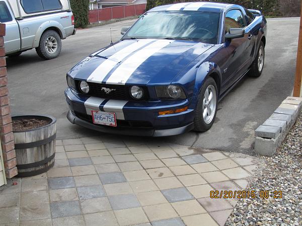 What did you do with your Mustang today?-img_1113.jpg