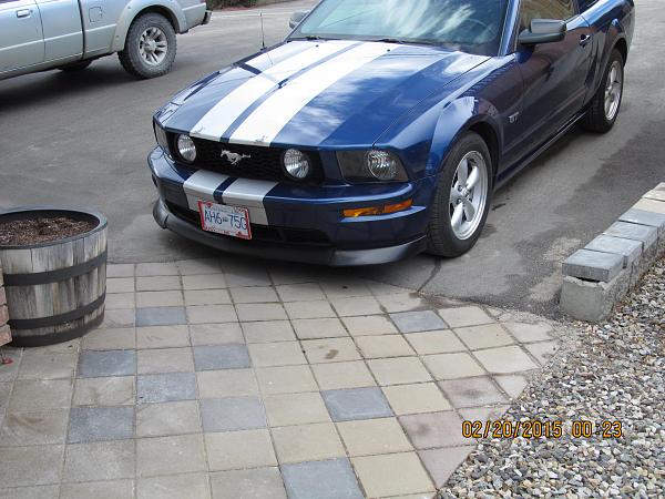 What did you do with your Mustang today?-img_1114.jpg