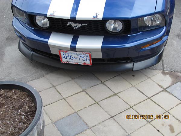 What did you do with your Mustang today?-img_1115.jpg