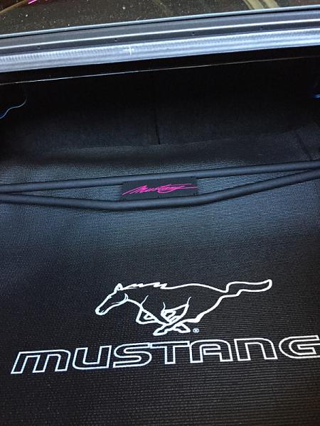 What did you do with your Mustang today?-image-3318100049.jpg
