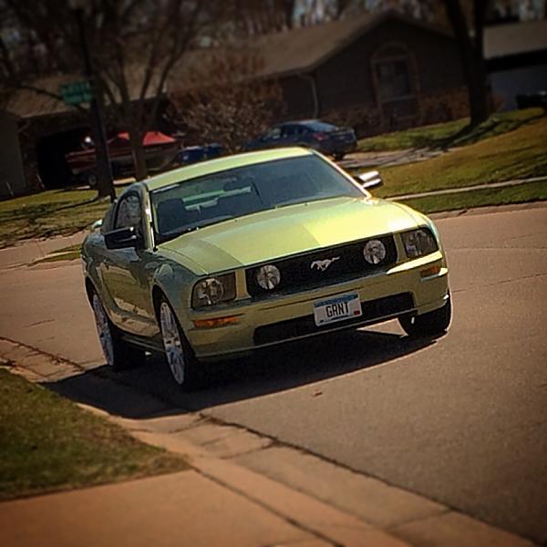 Mustangs Coast to Coast-image.jpg