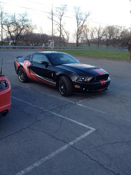 What did you do with your Mustang today?-image-4184610363.jpg