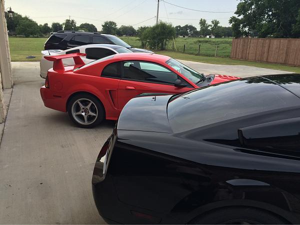 What did you do with your Mustang today?-photo209.jpg
