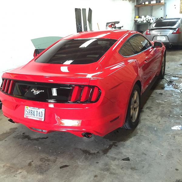 What did you do with your Mustang today?-stang3.jpg
