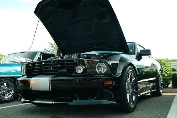 What did you do with your Mustang today?-c21.jpg