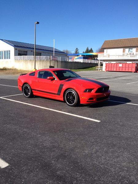 What did you do with your Mustang today?-image-693906375.jpg